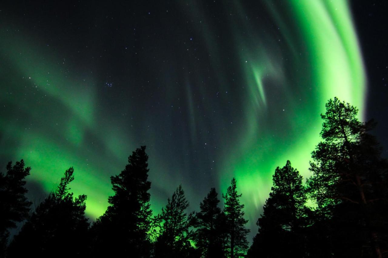Sorrisniva Arctic Wilderness Lodge ألتا المظهر الخارجي الصورة